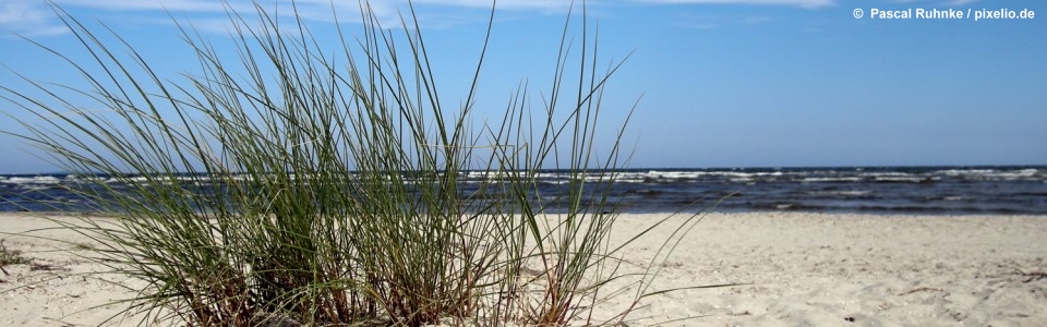 Haus Peters Pension Und Ferienwohnungen In Norddeich